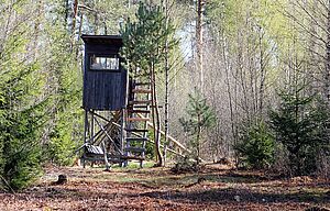 P / Jäger-Hochsitz