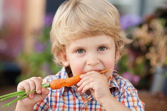 Gesundes Bauen mit Holz aus gesunden Wäldern
"Mensch um 7"