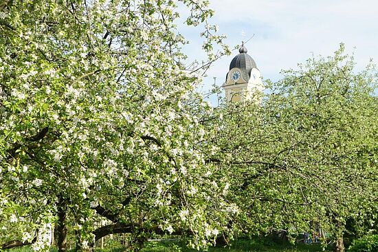 Klosterweg auf der VIA NOVA - Von Sittling nach Staubing | Etappe 3.2 | halbtags