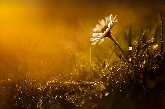 Yoga für (innere) Stabilität und Stärke am Morgen