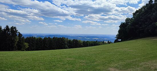 Genießen mit Seele und Leib
Rund um Wiesenfelden