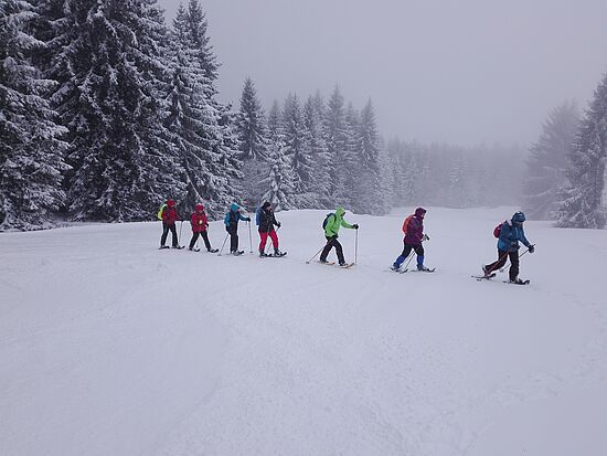 Anleitung zum Schneeschuhwandern