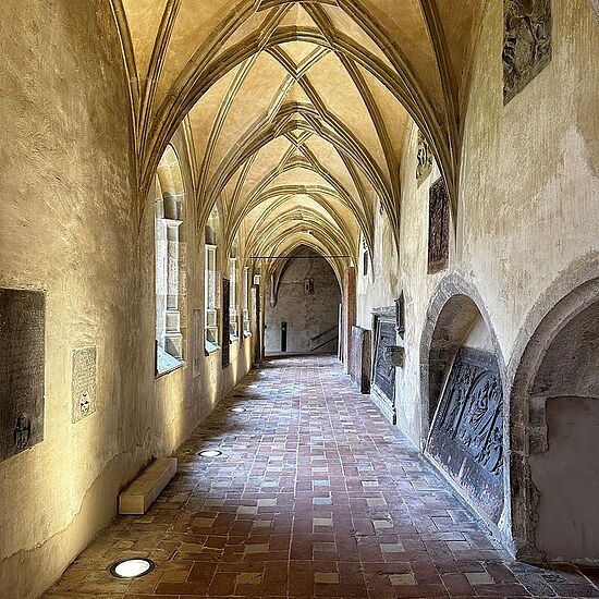 Domführungen mit Kreuzgang