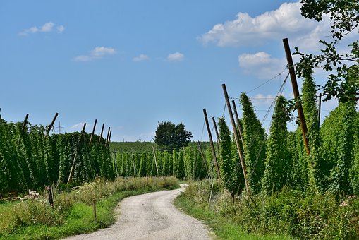 Führung und Vortrag auf dem Hopfenerlebnishof Stiglmaier in Attenhofen