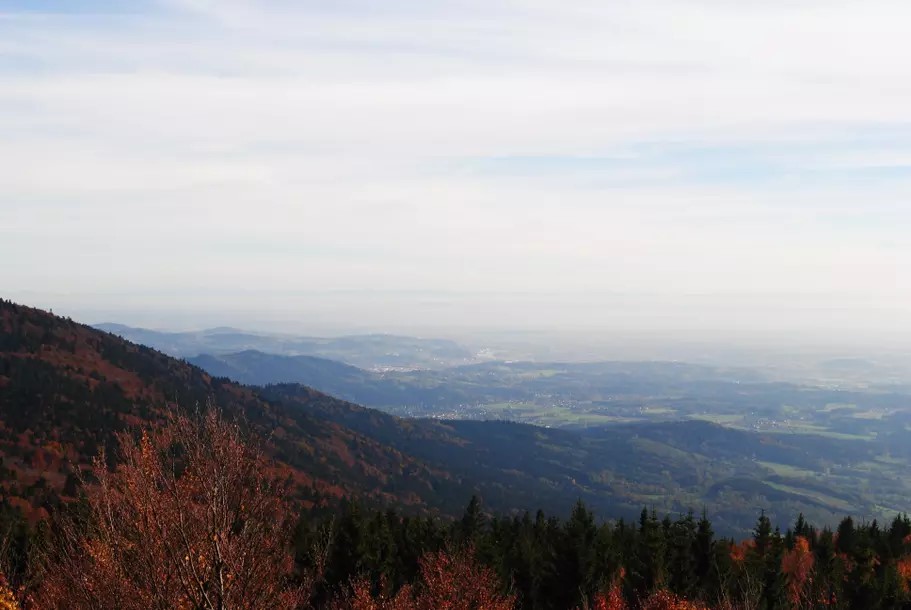 Wildes Waldgebirge St. Englmar